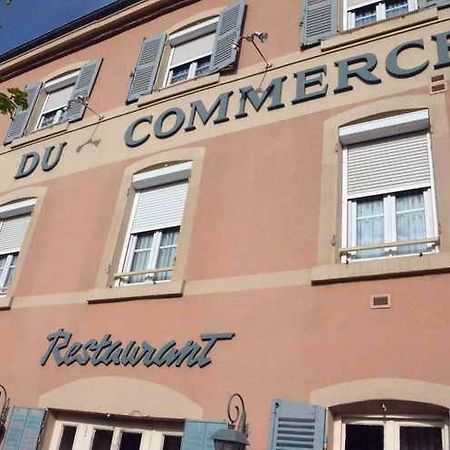 Hotel Du Commerce Pont-de-Vaux Kültér fotó